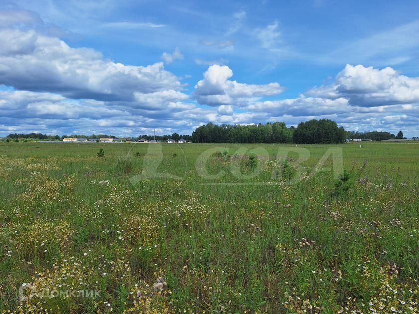 земля р-н Тюменский ДПК Новокаменский, Коттеджный посёлок Новокаменский фото 6