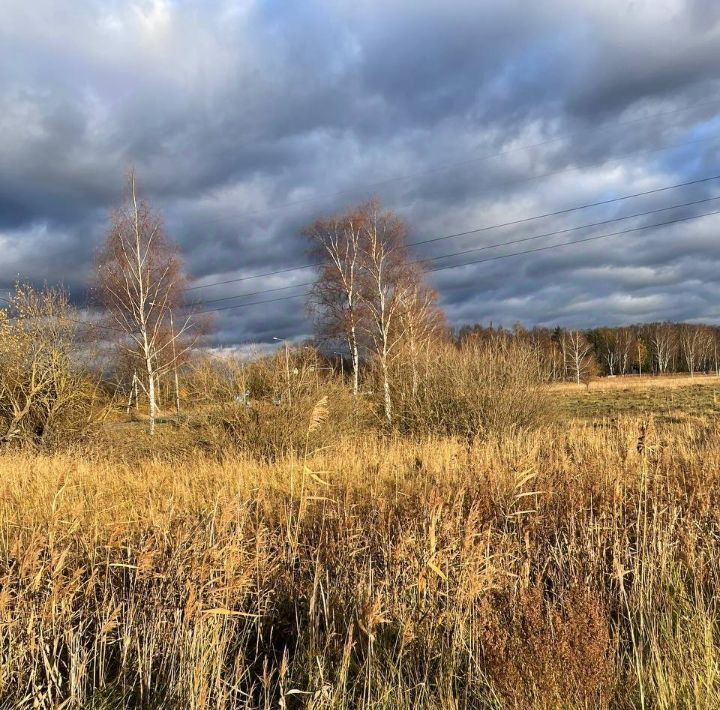 офис городской округ Воскресенск с Конобеево фото 1