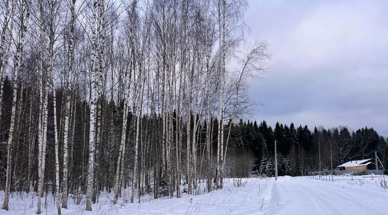 земля городской округ Сергиево-Посадский г Краснозаводск «Холмогоры» фото 18