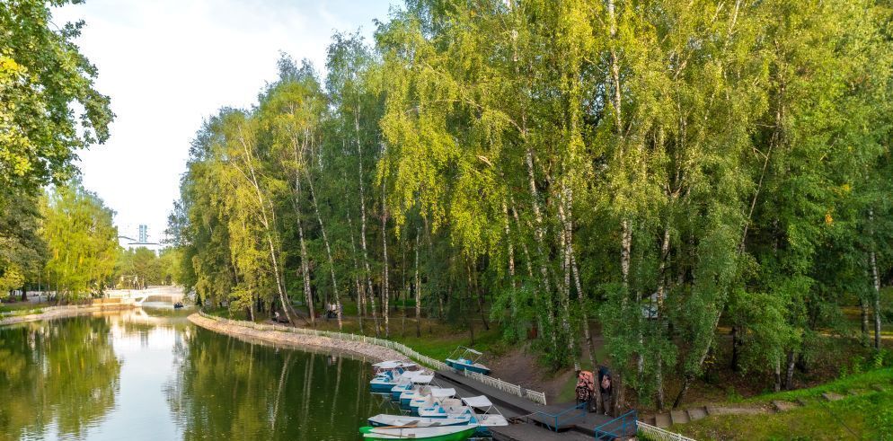 дом г Москва метро Лианозово ул Каманина 20 муниципальный округ Лианозово фото 31