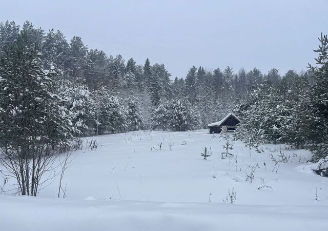 д Травное Белохолуницкое городское поселение, Белая Холуница фото