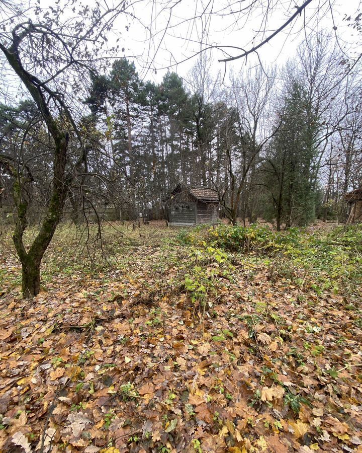 земля городской округ Одинцовский с Дубки 13 км, Одинцово, Можайское шоссе фото 2