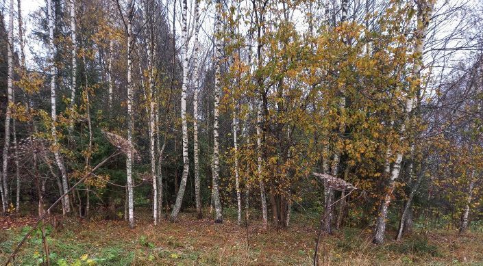 офис городской округ Дмитровский п Филимоново фото 1