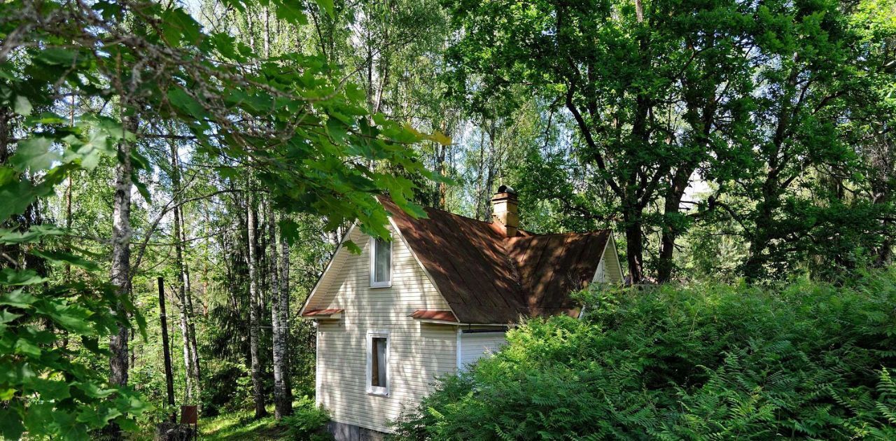 дом р-н Лужский Толмачевское городское поселение фото 1