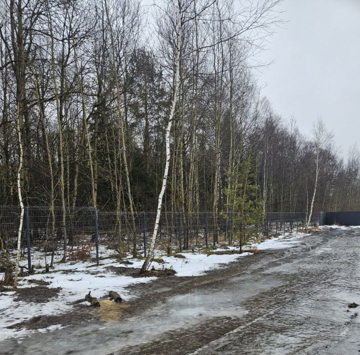 земля городской округ Павловский Посад пос. ЛПХ Небывалино, ул. Дубовая фото 4