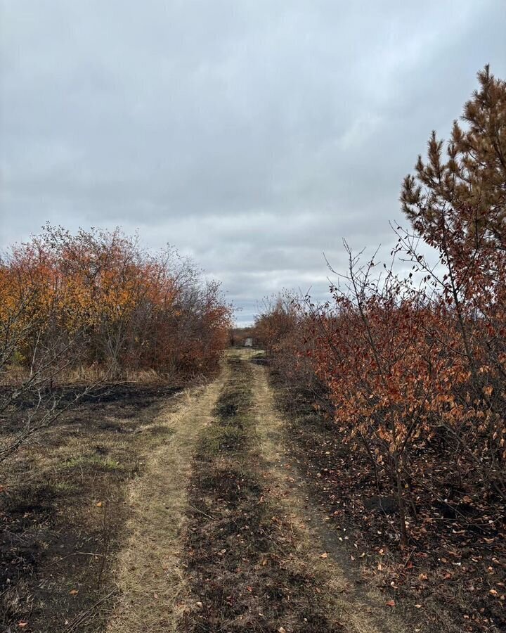 земля р-н Пензенский с Богословка Саловский сельсовет, СНТ Сурские Зори фото 6