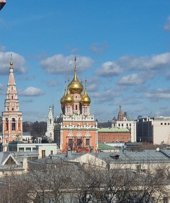 квартира г Москва метро Третьяковская пер Лаврушинский 17с/2 муниципальный округ Якиманка фото 4