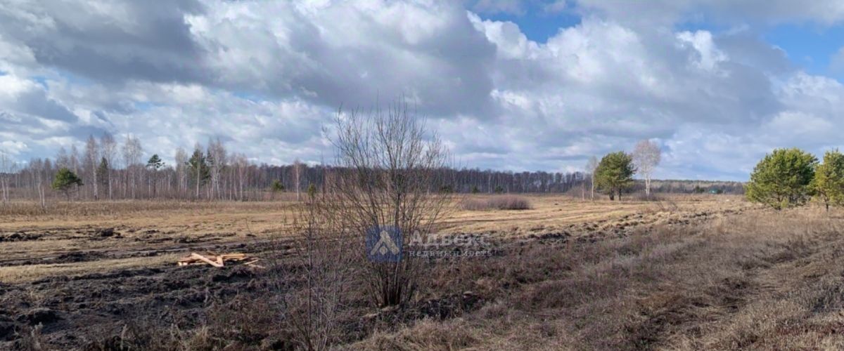 земля р-н Нижнетавдинский д Штакульская ул Дачная фото 1