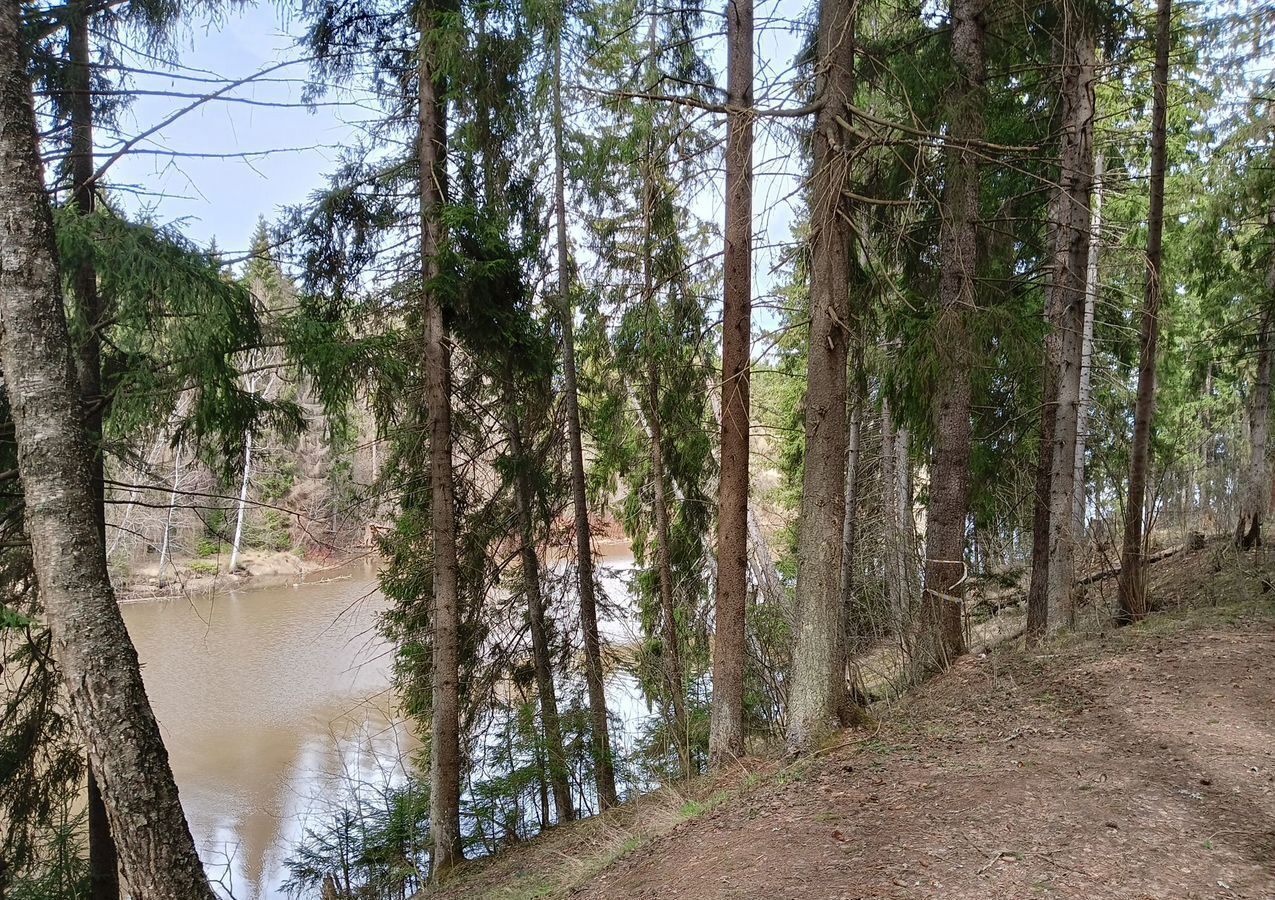 земля городской округ Можайский 101 км, Уваровка, Минское шоссе, д. Левашово фото 6