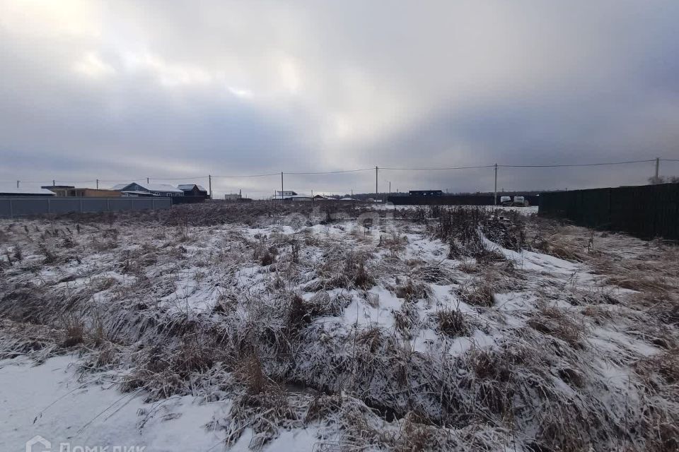 земля городской округ Домодедово д. Минаево фото 3