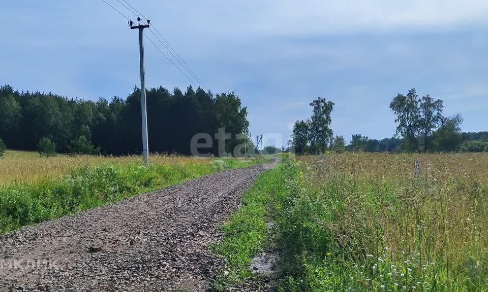 земля р-н Первомайский снт тер.Платоново ул Купеческая 4 фото 4