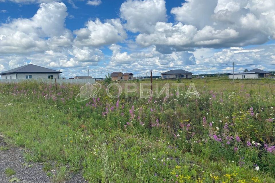 земля р-н Тюменский село Кулаково фото 4