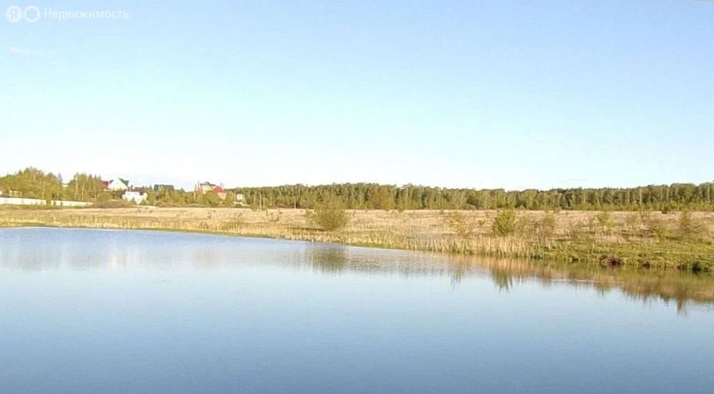 земля городской округ Раменский д Соколово-Хомьяново снт Хомьяново фото 3