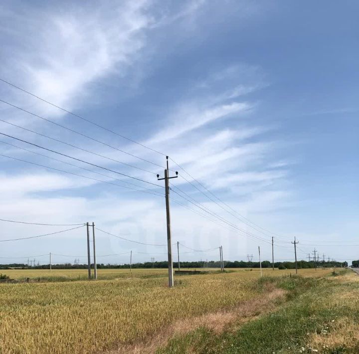 земля р-н Азовский Кулешовское с/пос, Белгорос СНТ, ул. Новгородская фото 9