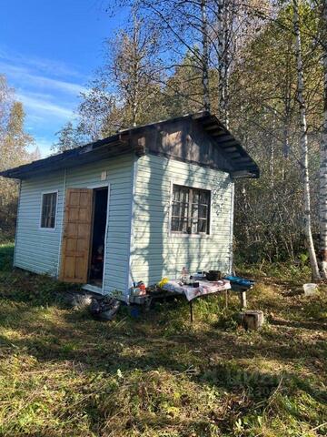 снт Сокол Советское городское поселение фото