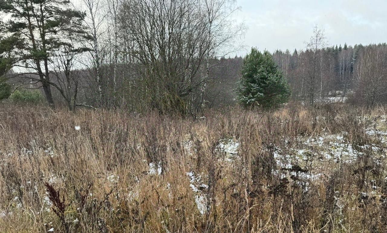 офис городской округ Богородский д Клюшниково фото 1