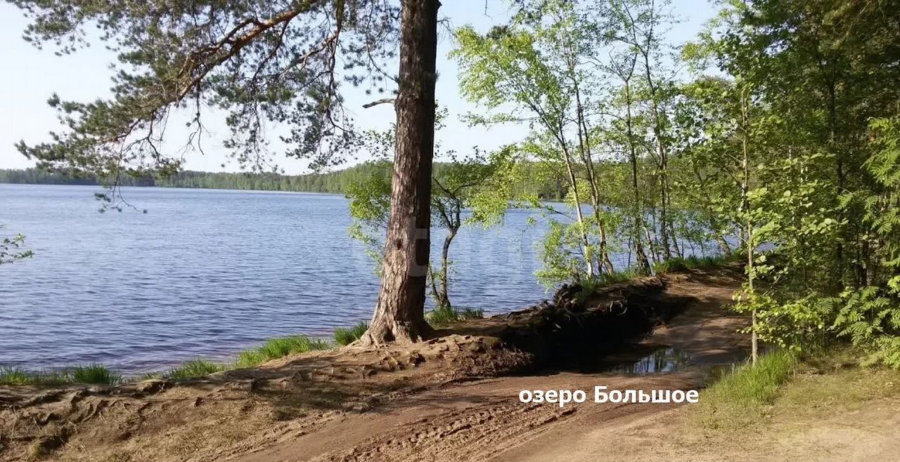 земля р-н Всеволожский п Рахья Дорога жизни, 25 км, Рахьинское городское поселение, коттеджный пос. Усадьба в Ириновке фото 21