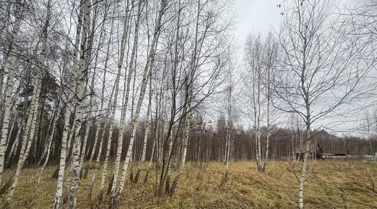 офис городской округ Серпухов п Оболенск фото 1