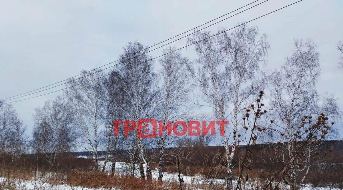 дом р-н Новосибирский снт тер.Утренняя звезда Березовский сельсовет, 108 фото 24