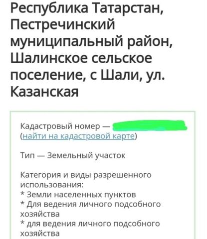 ул Казанская Республика Татарстан Татарстан, Шалинское сельское поселение, Пестрецы фото