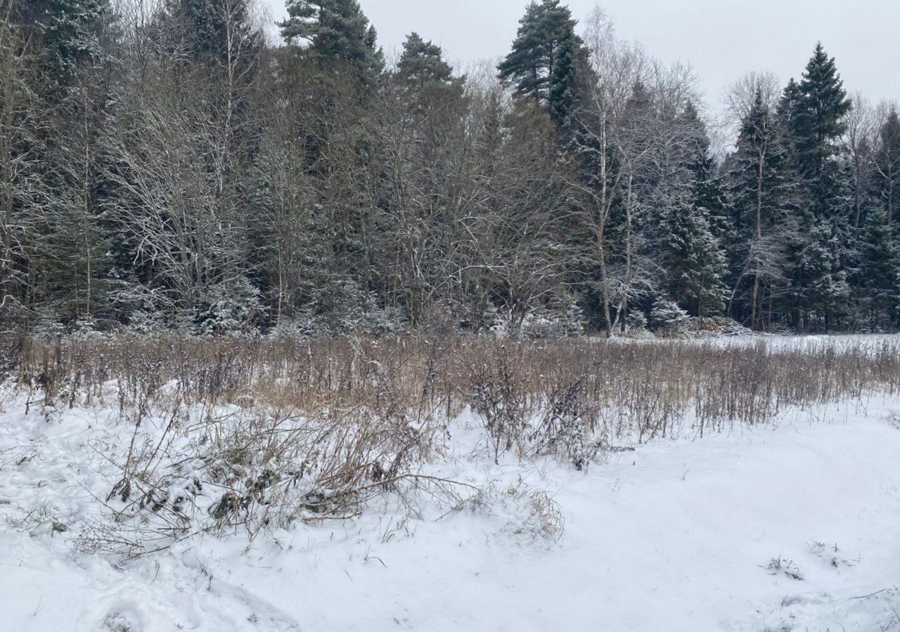 земля городской округ Наро-Фоминский д Турейка 56 км, Наро-Фоминск, Киевское шоссе фото 3