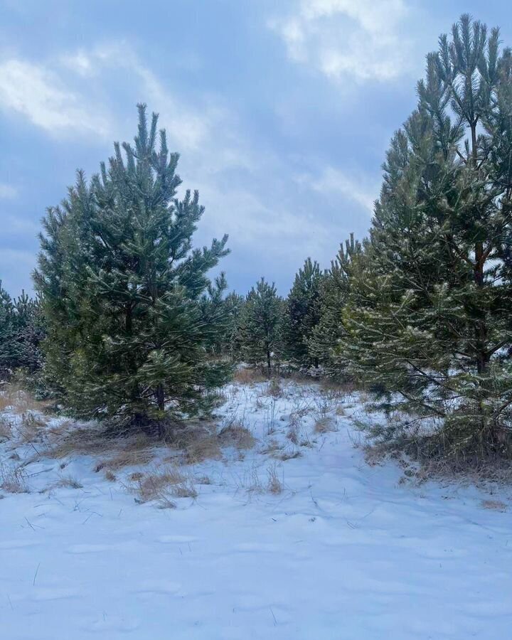 земля р-н Тюменский коттеджный пос. Новокаменский, ул. Пифагора, Тюмень фото 1