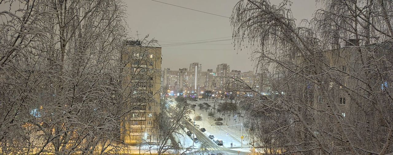 квартира г Санкт-Петербург метро Проспект Просвещения б-р Сиреневый 8к/1 округ Сергиевское фото 15