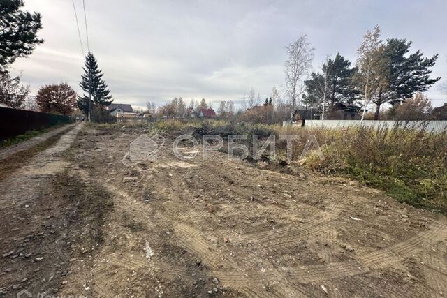 Центральный бульвар фото