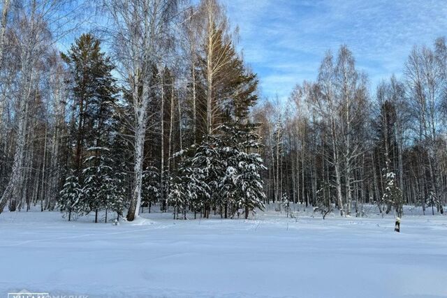 Снегири, коттеджный посёлок фото