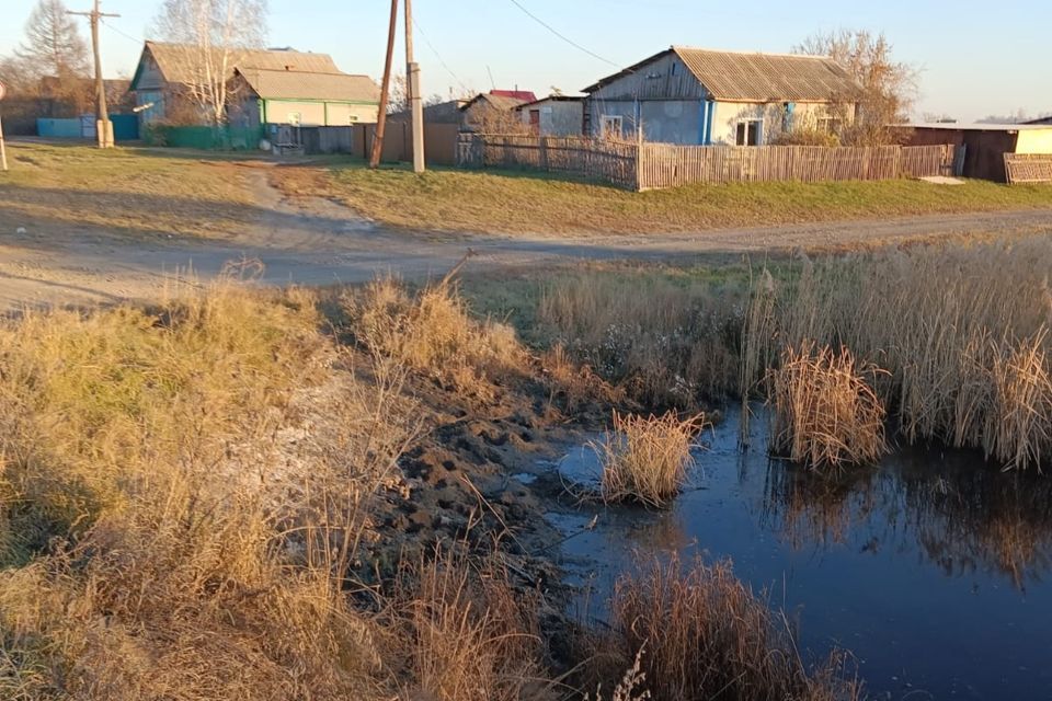 дом р-н Доволенский с Довольное ул Мичурина Доволенский сельсовет фото 2