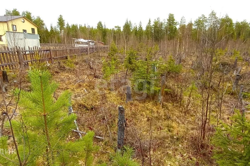 земля р-н Корткеросский фото 7