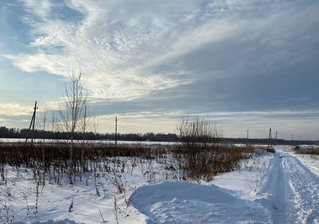 р-н Тюменский с Горьковка Тюмень фото