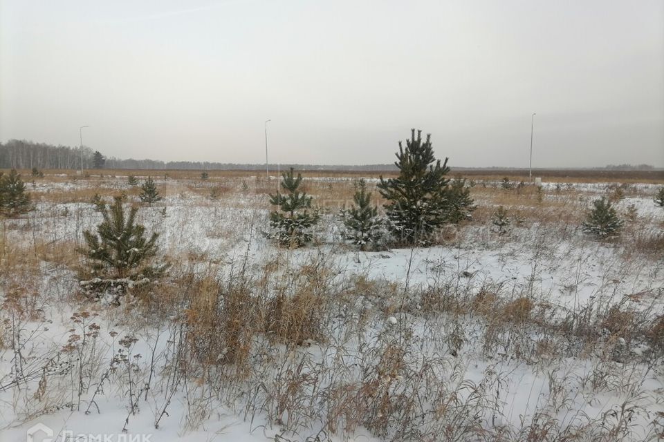 земля р-н Тюменский ДПК Новокаменский, Коттеджный посёлок Новокаменский фото 8