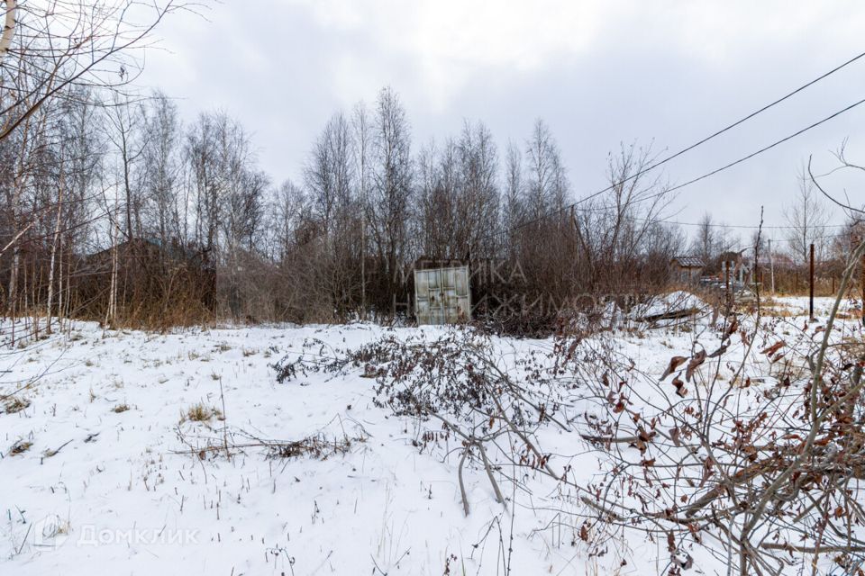 земля г Тюмень снт Яровское Тюмень городской округ, Грушевая улица, 30 фото 6