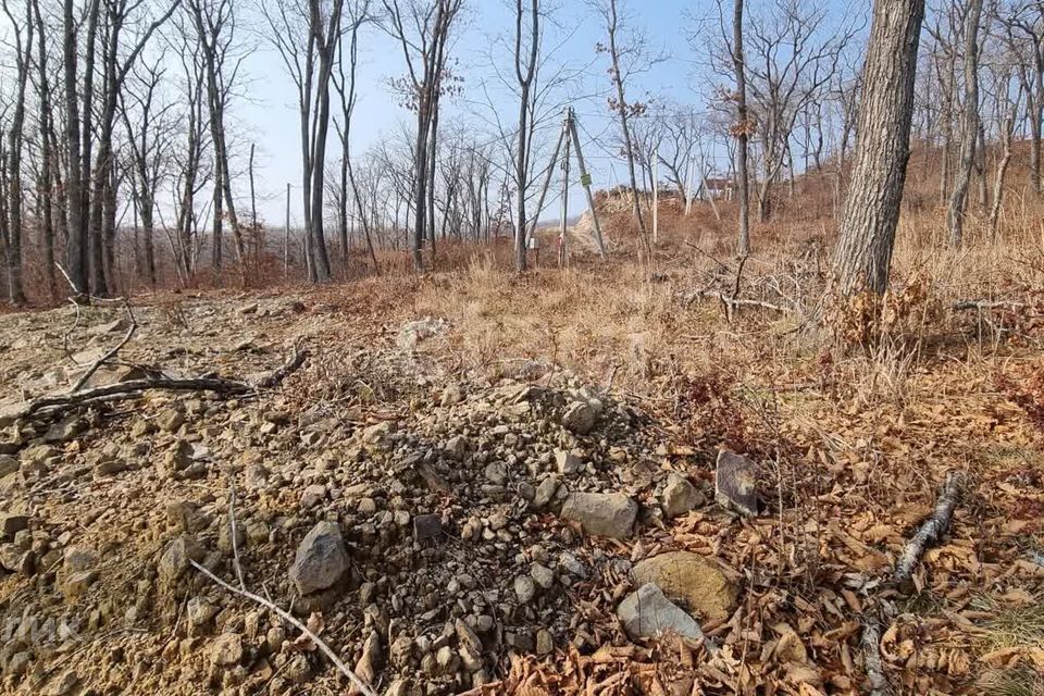 земля г Владивосток р-н Советский Емар Владивостокский городской округ, Советский фото 6