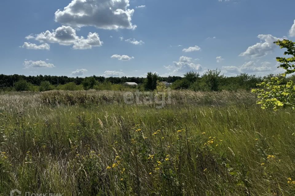 земля р-н Белгородский с. Бессоновка фото 6