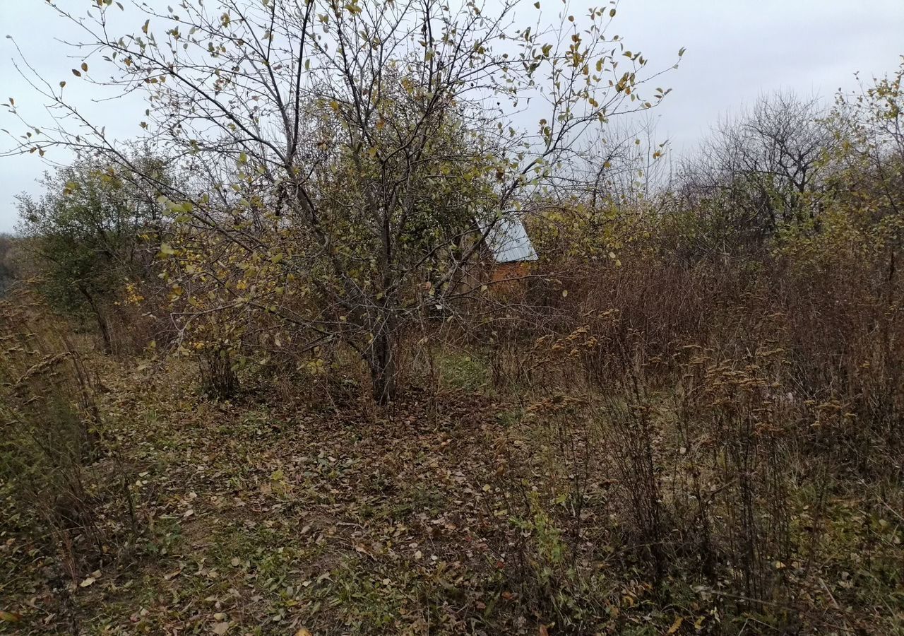 дом р-н Милославский с Большое Подовечье Большеподовечинское сельское поселение, Милославское фото 3