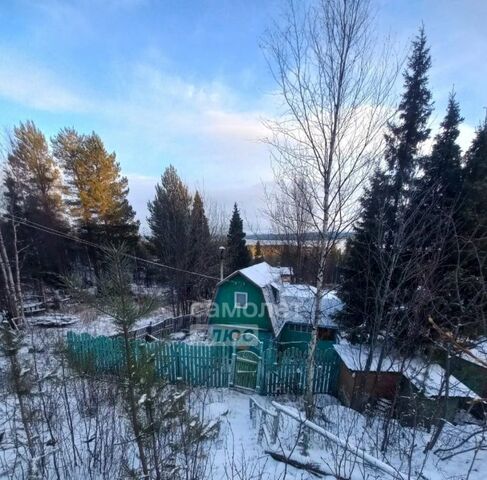 г Мончегорск снт Имандра Района Риж-Губы садоводческий массив, СОТ фото