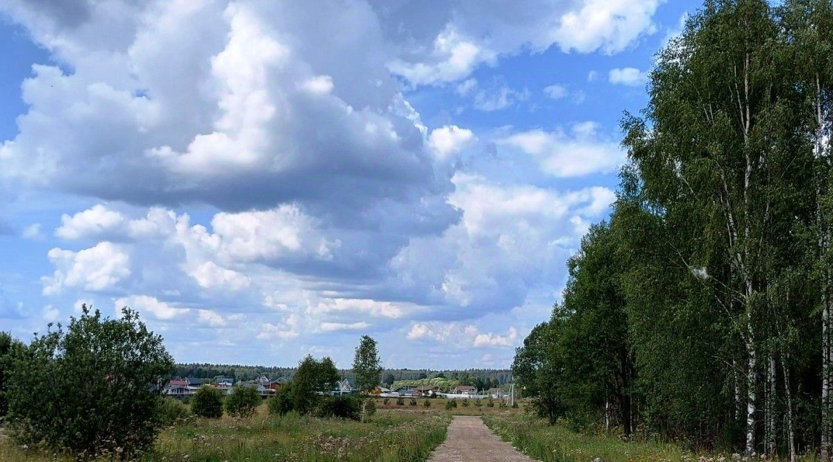 земля городской округ Наро-Фоминский Бархатово Лес дп фото 2