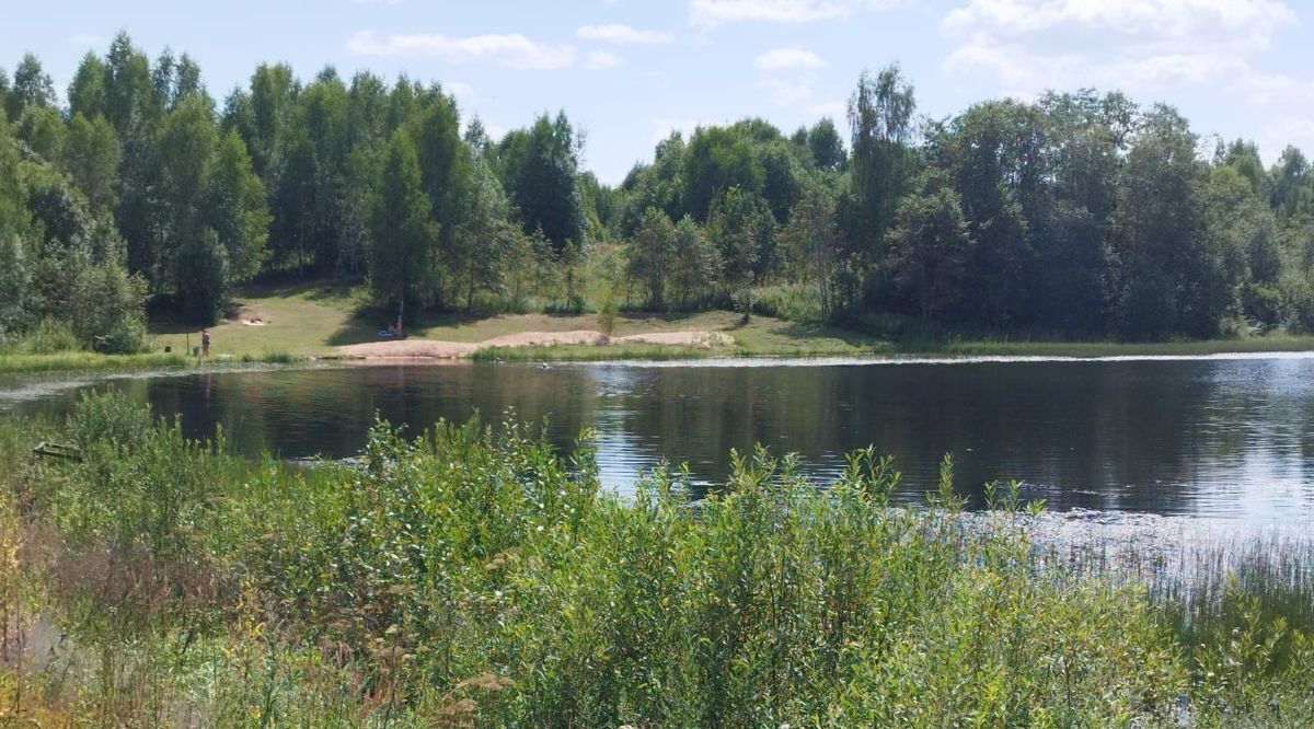 дом городской округ Шаховская д Воютино 67 фото 15