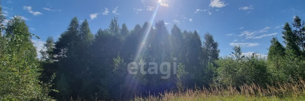 земля р-н Думиничский п Думиничи городское поселение Думиничи фото 2