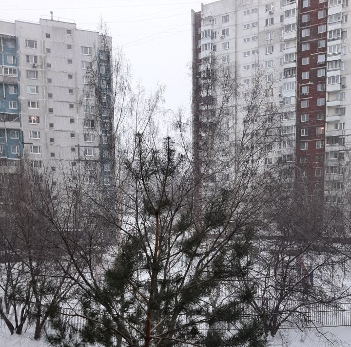 квартира г Москва метро Шипиловская проезд Задонский 32к/2 муниципальный округ Зябликово фото 26