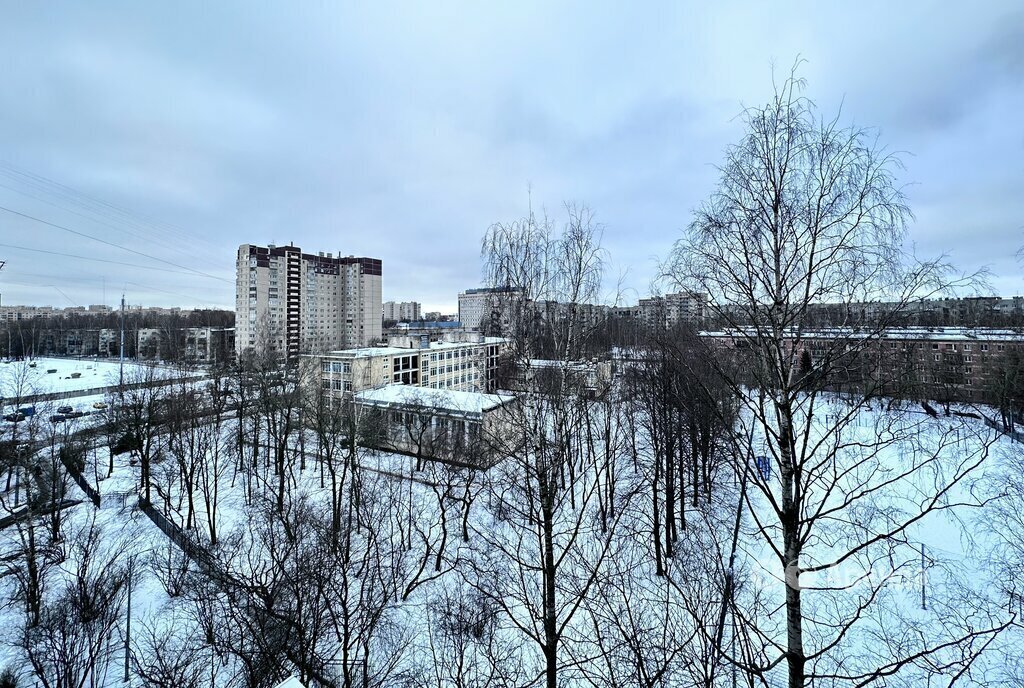 квартира г Санкт-Петербург метро Академическая ул Бутлерова 12 округ Гражданка фото 12