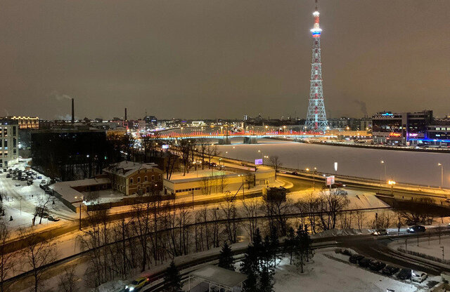 Черная Речка наб Ушаковская 1к/3 фото