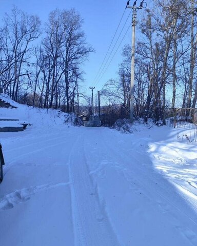 дом Мичуринское сельское поселение, СДТ Родник, Хабаровск фото