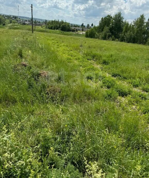 земля городской округ Тула, деревня Барсуки фото 10