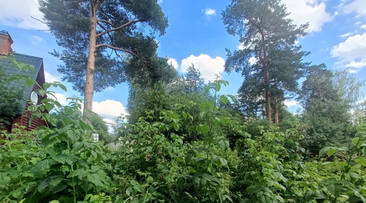 дом р-н Гатчинский Вырица городской поселок, ул. Лужская фото 15