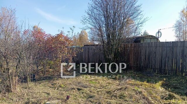 снт Мечта-2 Кузьмищенское с/пос фото снт Мечта-2 Кузьмищенское с/пос фото