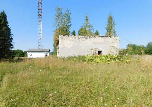 р-н Каргопольский д Петровская ул Петровская 19 Каргополь фото