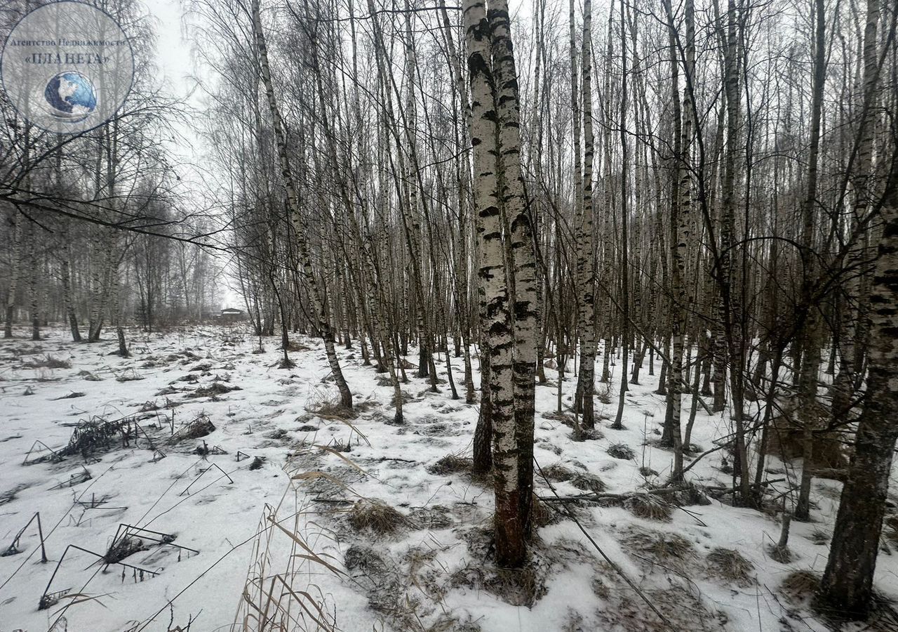 земля направление Горьковское (восток) ш Горьковское 30 км, 46К-7210, Обухово фото 17